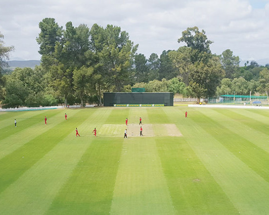 Six Gun Grill adds stadium sponsorship to SWD Cricket partnership